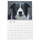 Schneehunde Kalender (Mär 2027)