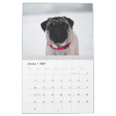 Schneehunde Kalender (Jan 2027)