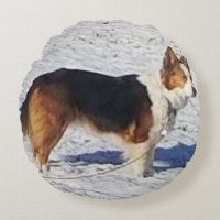 Schneehunde runden Kissen
