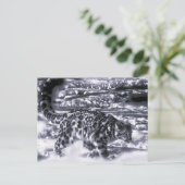 Schneejäger 3 postkarte (Stehend Vorderseite)