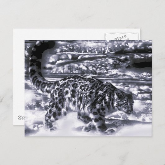 Schneejäger 3 postkarte (Vorne/Hinten)