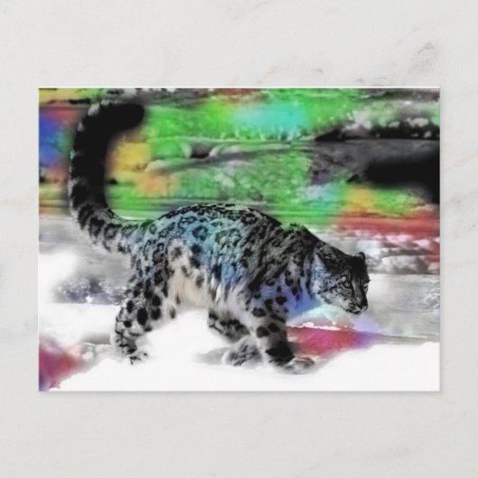 Schneejäger 5 postkarte (Vorderseite)