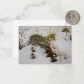 Schneekaktus-Urlaubskarte Mitteilungskarte (Vorderseite/Rückseite Beispiel)