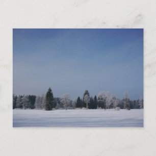 Schneekalte Winterlandschaft 12 Postkarte
