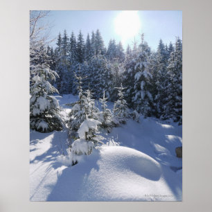 Schneekalte Winterlandschaft 2 Poster
