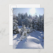 Schneekalte Winterlandschaft 2 Postkarte (Vorne/Hinten)