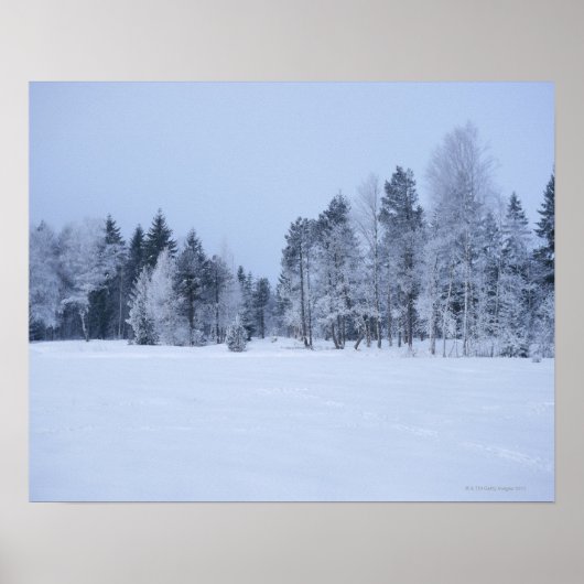 Schneekalte Winterlandschaft 8 Poster (Vorne)