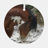 Schneekanieren Ornament Aus Glas (Rückseite)