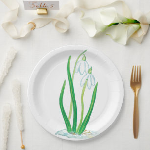 Schneekanonen (Galanthus nivalis) Pappteller