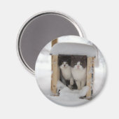 Schneekätzchen Magnet (Vorderseite/Rückseite)