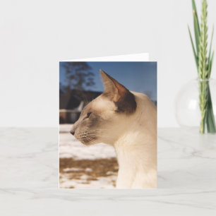 Schneekatze - Blaue Punkte-Profil von Siamesen Karte
