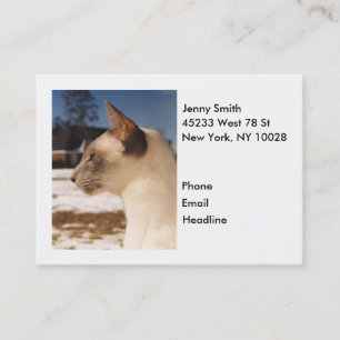 Schneekatze - Blaue Punkte-Profil von Siamesen Visitenkarte