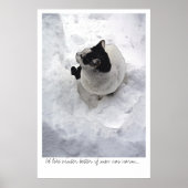 Schneekatze Poster (Vorne)