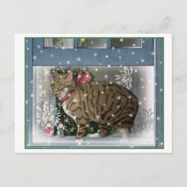 Schneekatze Postkarte