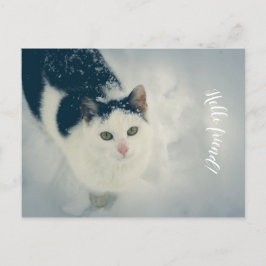 Schneekatze Postkarte