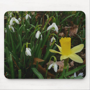 Schneekatzen und trostlose Frühlingsblüte Mousepad
