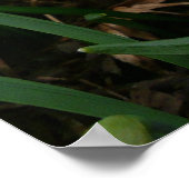 Schneekatzen und trostlose Frühlingsblüte Poster (Ecke)