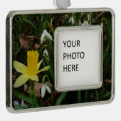 Schneekatzen und trostlose Frühlingsblüte Rahmen-Ornament Silber (Rechts)