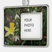 Schneekatzen und trostlose Frühlingsblüte Rahmen-Ornament Silber (Links)