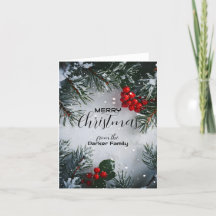 Schneekiefern, Holly Berries, ohne Foto