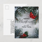 Schneekiefern, Holly Berries, ohne Foto Feiertagspostkarte (Vorne/Hinten)