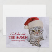 SchneeKitten mit Weihnachtsmannmütze Einladung (Vorne/Hinten)