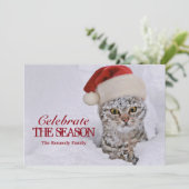 SchneeKitten mit Weihnachtsmannmütze Einladung (Stehend Vorderseite)