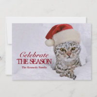 SchneeKitten mit Weihnachtsmannmütze
