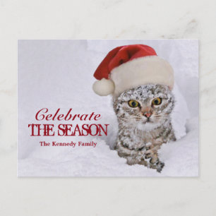 SchneeKitten mit Weihnachtsmannmütze Feiertagspostkarte