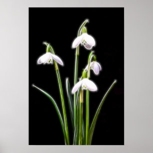 Schneekopfdruck Poster