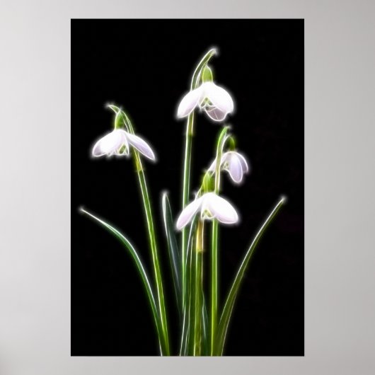 Schneekopfdruck Poster (Vorne)