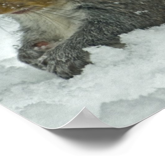 Schneekörnchen Poster (Ecke)