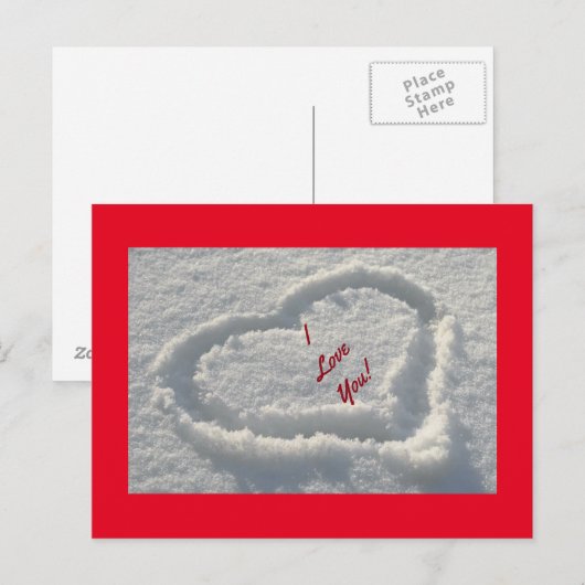 Schneekraut Postkarte (Vorne/Hinten)