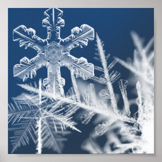 Schneekristalle Poster