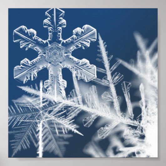 Schneekristalle Poster (Vorne)