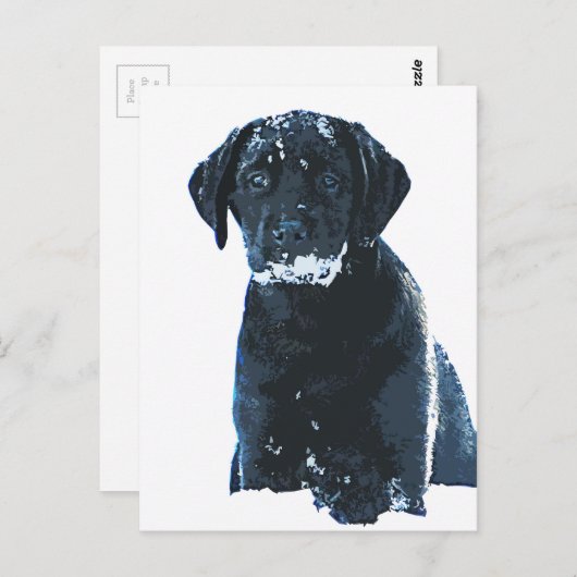 Schneekristalle - Schneelabore - Welpe aus dem Sch Postkarte (Vorne/Hinten)