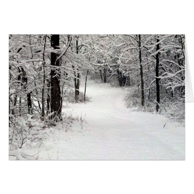 Schneekrustenfeld in Vermont IL (Vorderseite (Horizontal))