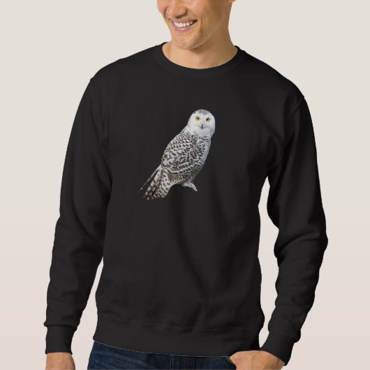 Schneekugel 1 sweatshirt (Vorderseite)