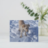 Schneekuppe Postcard Postkarte (Stehend Vorderseite)