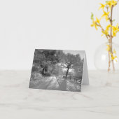 Schneelandschaft: Cheshire Karte (Gelbe Blume)