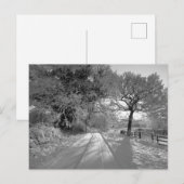 Schneelandschaft: Cheshire Postkarte (Vorne/Hinten)