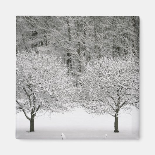 Schneelandschaft Magnet (Vorne)