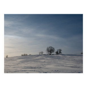 Schneelandschaft    poster