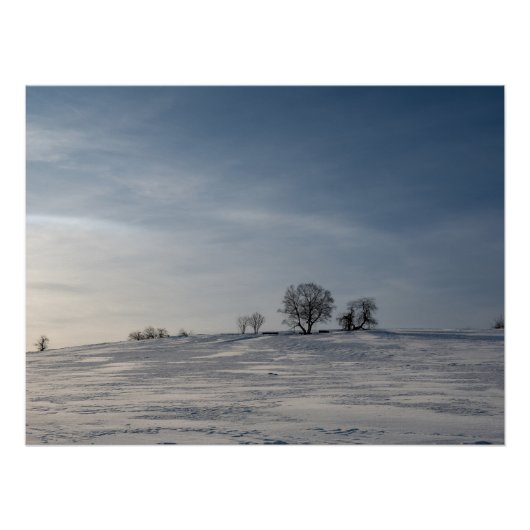 Schneelandschaft Poster (Vorderseite)