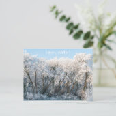 Schneelandschaft Winter Foto Postkarte (Stehend Vorderseite)