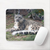 Schneeleopard 26 mousepad (Mit Mouse)