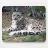 Schneeleopard 26 mousepad (Vorne)