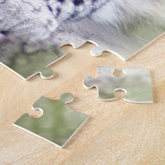 Schneeleopard 27 puzzle (Seite)