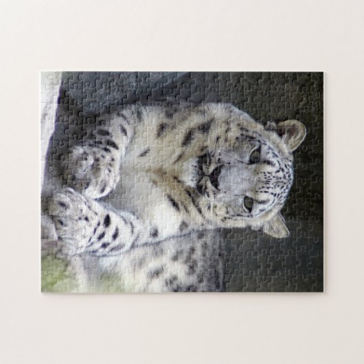 Schneeleopard 27 puzzle (Horizontal)