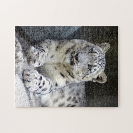 Schneeleopard 6 puzzle (Horizontal)